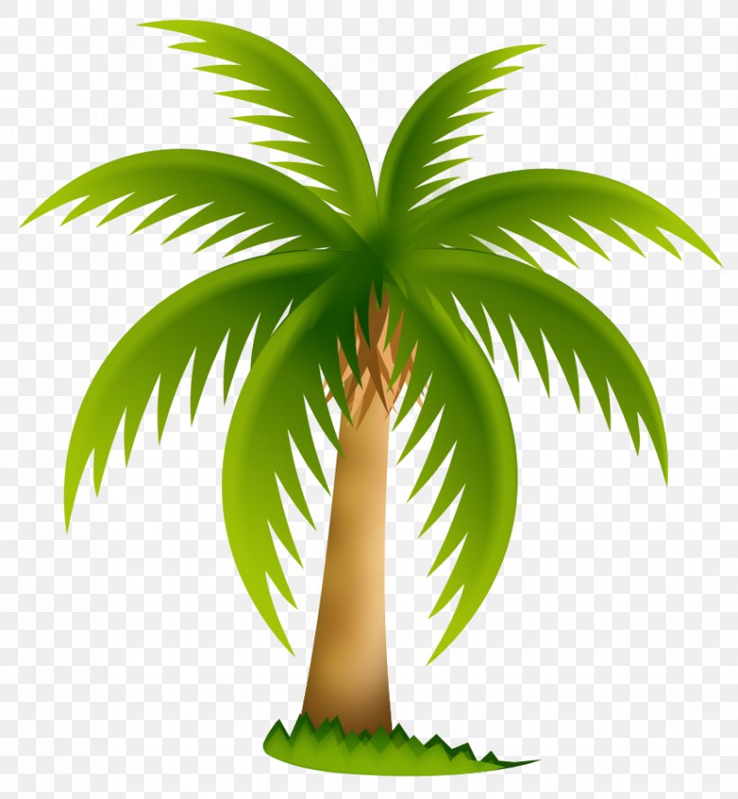Arecaceae Date Palm Sabal Palm Clip Art, PNG, 864x936px, Arecaceae, Arecales, Blog, Coconut, Date Palm Download Free