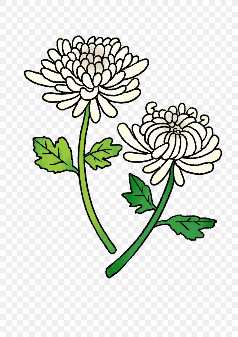 Floral Design Cut Flowers Oxeye Daisy Chrysanthemum Clip Art, PNG, 2480x3508px, Floral Design, Art, Artwork, Chrysanthemum, Chrysanths Download Free