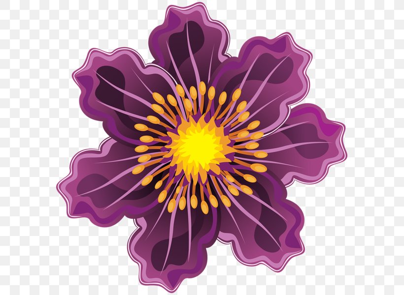 Flower Clip Art, PNG, 599x600px, Flower, Art Museum, Chrysanthemum, Chrysanths, Color Download Free