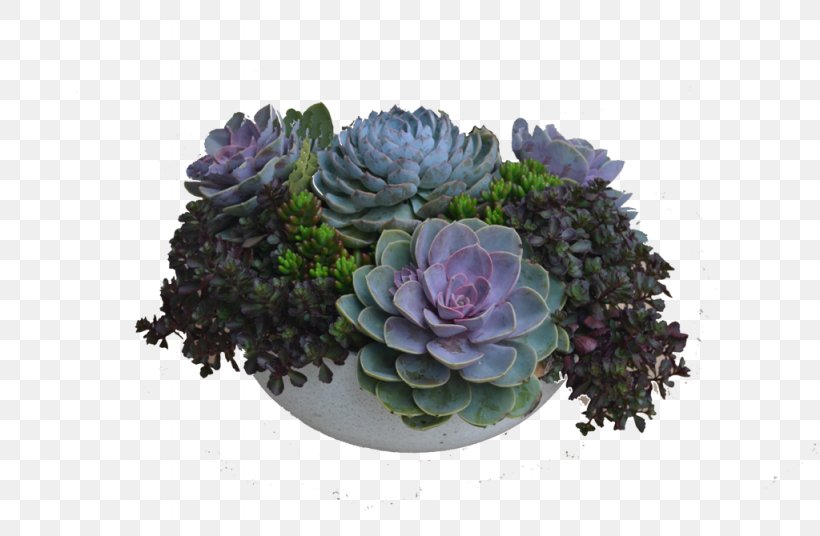 Table Succulent Plant Flower Floral Design Floristry, PNG, 1024x670px, Table, Artificial Flower, Cactaceae, Cut Flowers, Dining Room Download Free