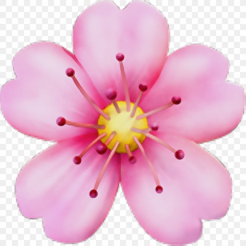 Cherry Blossom Cartoon, PNG, 1024x1024px, Emoji, Apple Color Emoji, Blossom, Cherry Blossom, Emoticon Download Free