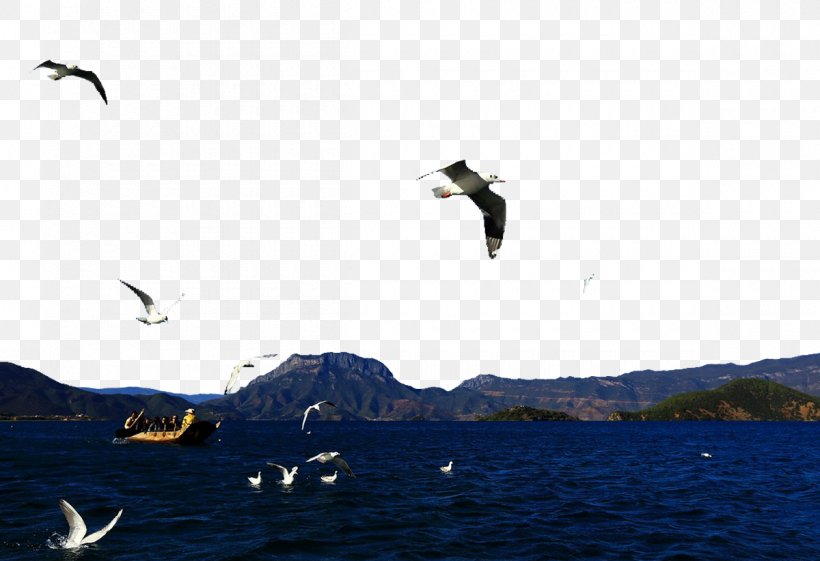 Lugu Lake Slender West Lake Namtso Daming Lake Deer Lake, PNG, 1200x822px, Lugu Lake, Beak, Bird, Daming Lake, Deer Lake Download Free
