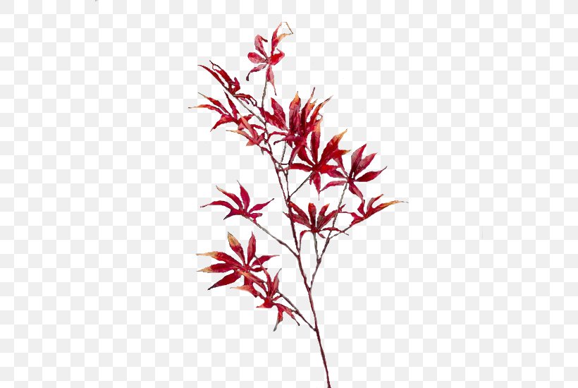 Maple Leaf Branch Flower, PNG, 550x550px, Maple Leaf, Blog, Branch, Drawing, Flower Download Free