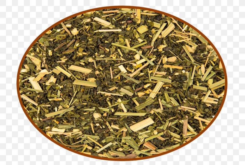 Nilgiri Tea Hōjicha Tea Plant, PNG, 720x553px, Nilgiri Tea, Bancha, Biluochun, Chun Mee Tea, Darjeeling Tea Download Free