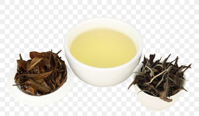 Nilgiri Tea Keemun Golden Monkey Tea Gyokuro, PNG, 772x479px, Tea, Assam Tea, Bai Mudan, Baihao Yinzhen, Bancha Download Free