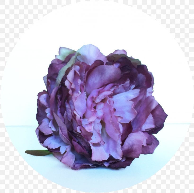 Peony Cut Flowers Petal, PNG, 2456x2448px, Peony, Cut Flowers, Flower, Flowering Plant, Petal Download Free