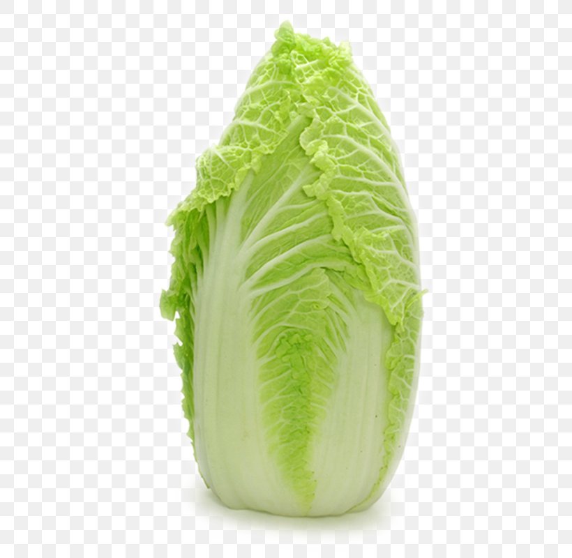 Romaine Lettuce Cabbage Caesar Salad Vegetable, PNG, 800x800px, Romaine Lettuce, Bok Choy, Brassica Oleracea, Cabbage, Caesar Salad Download Free
