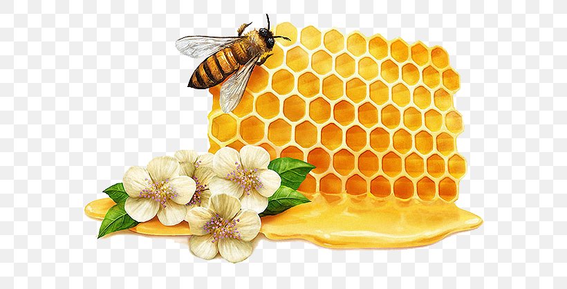 Tea Mu0101nuka Honey Bee Manuka, PNG, 600x418px, Tea, Bee, Bee Pollen, Dirty, Facial Download Free