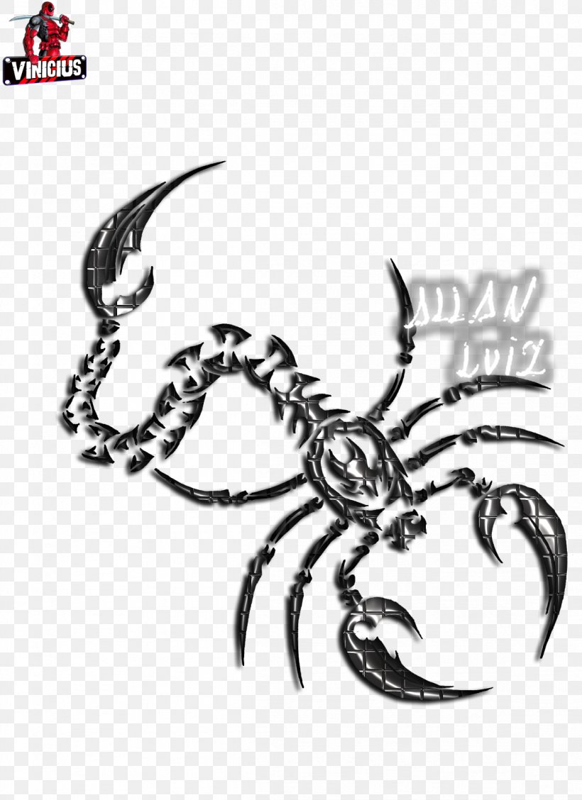 Crab Decapods Insect Scorpio Illustration, PNG, 1163x1600px, Crab, Art, Arthropod, Author, Black And White Download Free