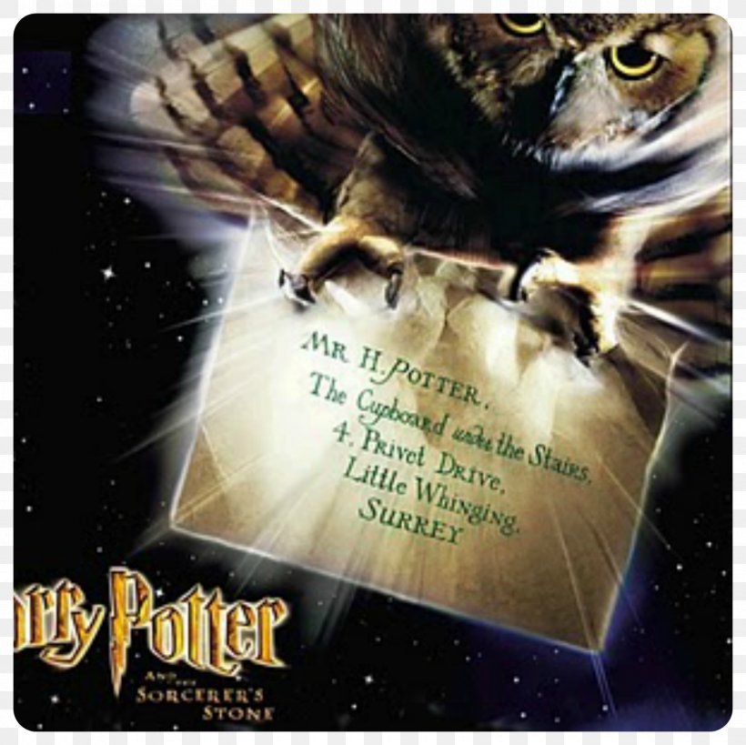 Draco Malfoy Harry Potter And The Half-Blood Prince Professor Severus Snape Hogwarts, PNG, 1600x1600px, Draco Malfoy, Bird Of Prey, Emma Watson, Fauna, Film Download Free
