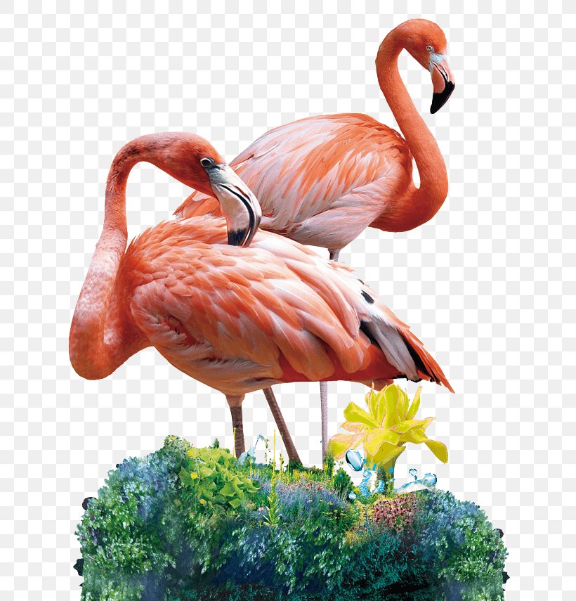 Flamingo Image Painting Online Shopping Art, PNG, 658x855px, Flamingo, Aliexpress, Art, Beak, Bird Download Free