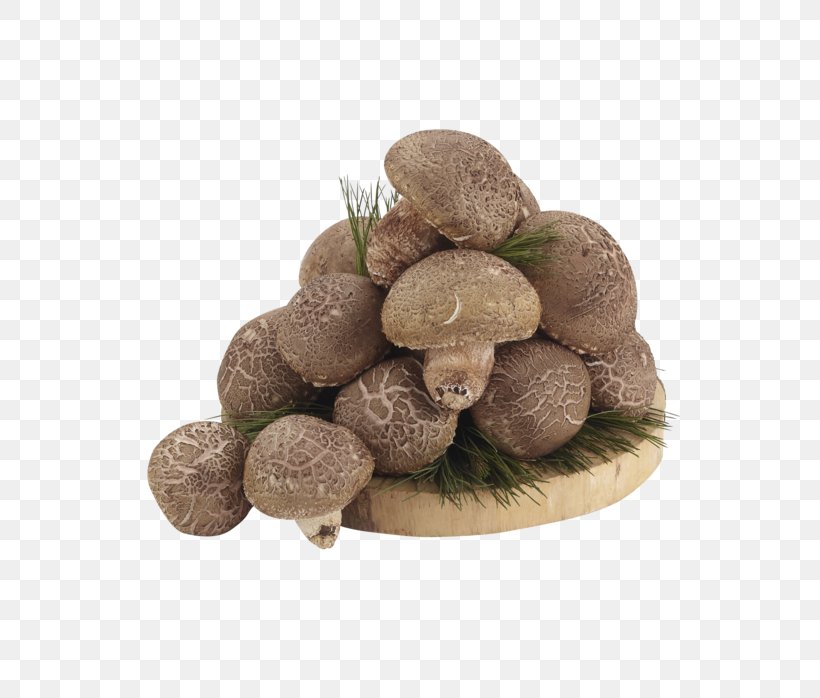 Shiitake, PNG, 650x698px, Shiitake, Edible Mushroom, Food, Mushroom, Plant Download Free