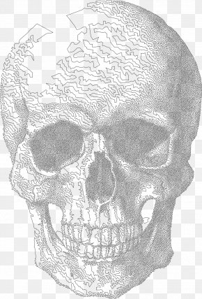 Drawing Skull Art Clip Art, PNG, 1488x1920px, Drawing, Art, Artwork ...