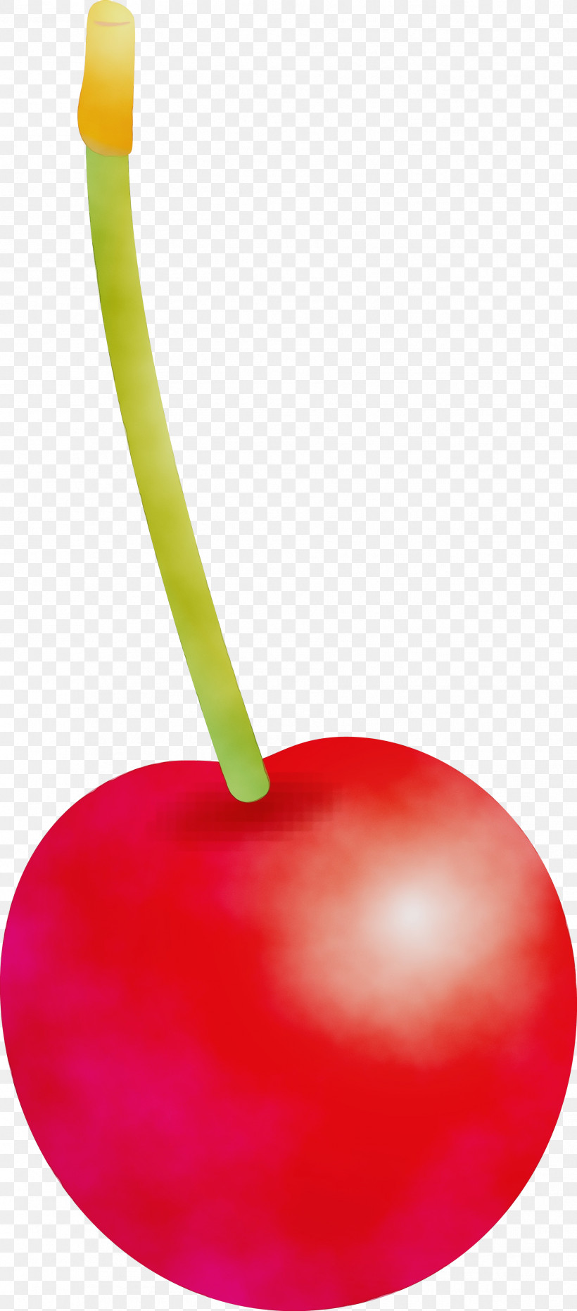 Cherry Fruit Plant Drupe Food, PNG, 1808x4108px, Cherry, Drupe, Food, Fruit, Paint Download Free