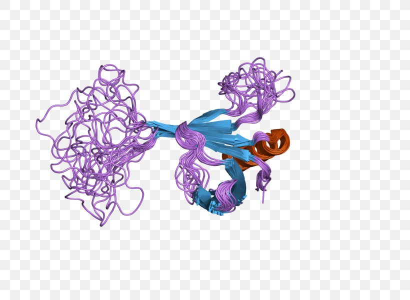 CLNS1A Protein Arginine Methyltransferase 5 Gene, PNG, 800x600px, Gene, Art, Cell, Homo Sapiens, Pollinator Download Free