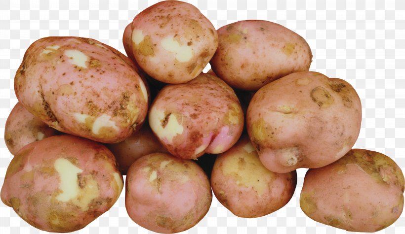 Tiff, PNG, 4245x2460px, Russet Burbank Potato, Drawing, Food, Potato, Potato And Tomato Genus Download Free