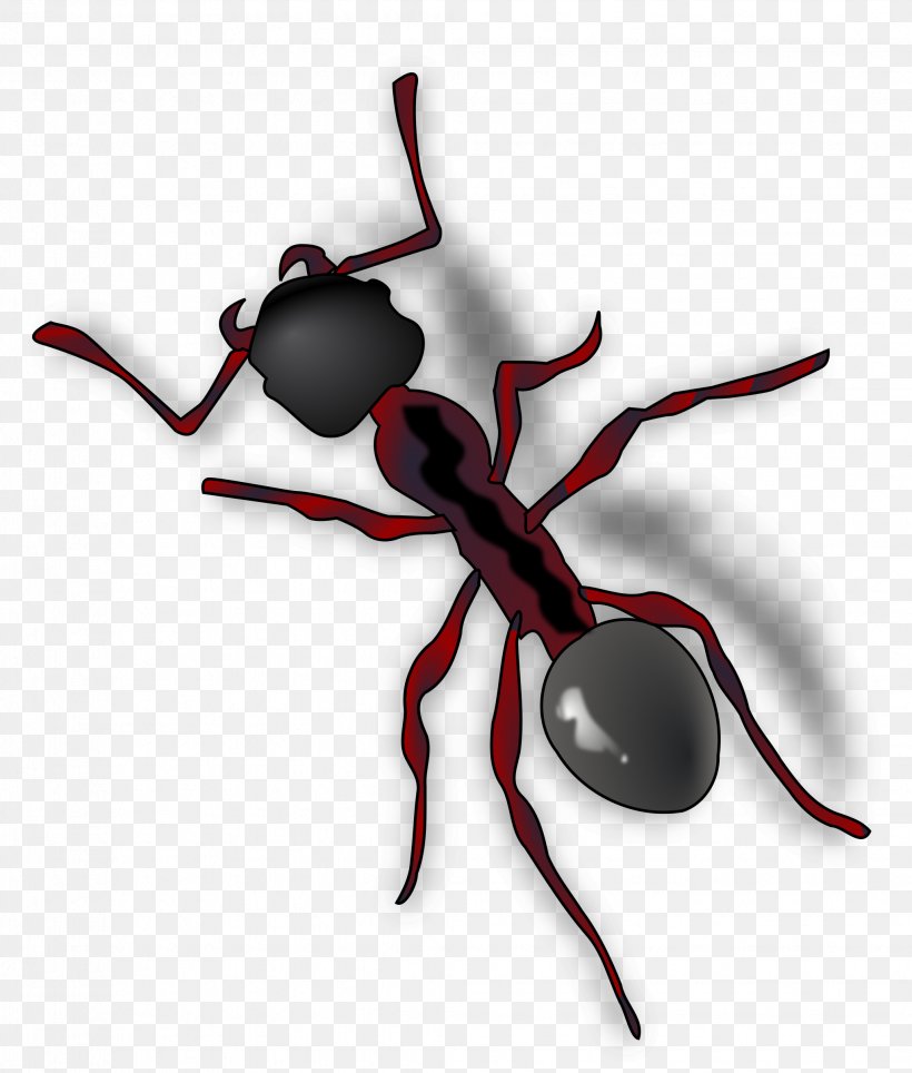 Ant Clip Art, PNG, 2041x2400px, Ant, Ant Colony, Arthropod, Insect, Invertebrate Download Free