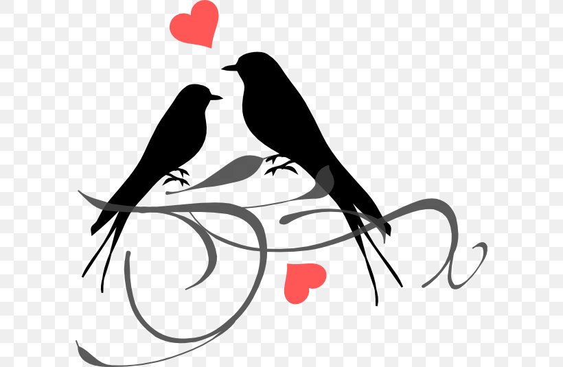 Grey-headed Lovebird Clip Art, PNG, 600x535px, Bird, Art, Artwork, Beak, Black And White Download Free