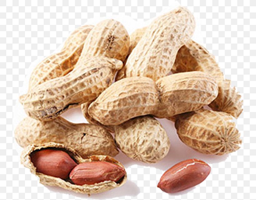 Nuts Peanut Almond English Walnut, PNG, 740x643px, Nuts, Almond, Brazil Nut, Commodity, Dried Fruit Download Free