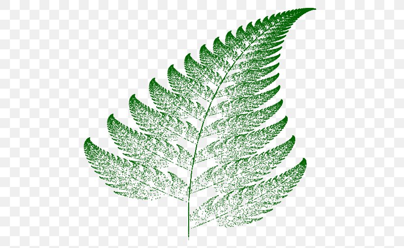 Barnsley Fern Fractal Iterated Function System Self-similarity, PNG, 720x504px, Barnsley Fern, Affine Transformation, Chaos Game, Chaos Theory, Fern Download Free
