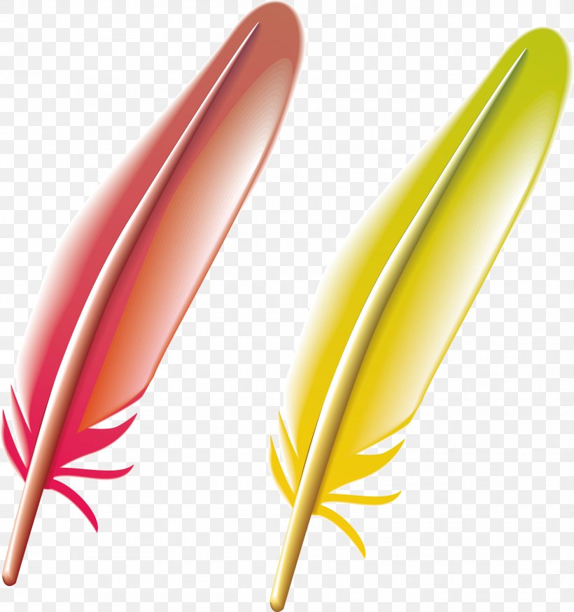 Feather, PNG, 1879x2003px, Feather, Cartoon, Chemical Element, Color, Google Images Download Free