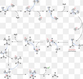 Rearrangement Reaction Hofmann Rearrangement Hofmann Elimination ...