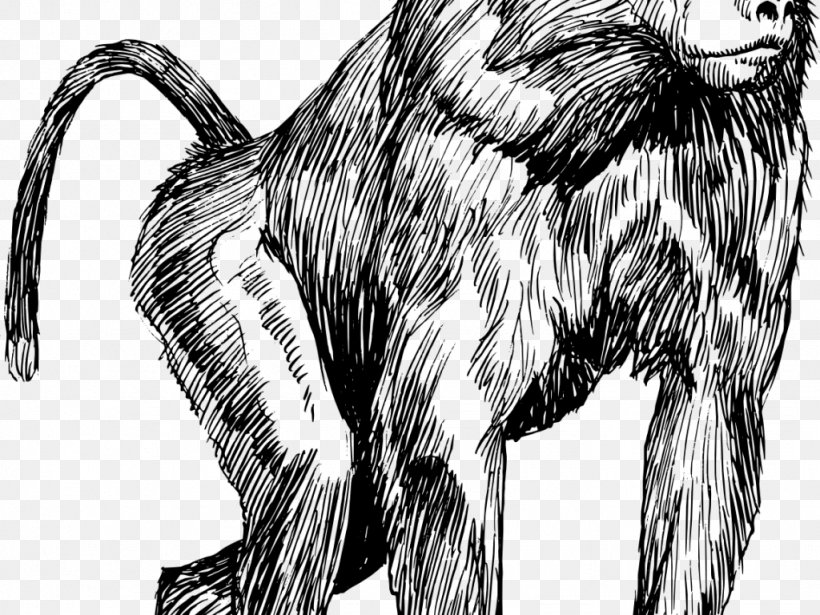 Mandrill Hamadryas Baboon Coloring Book Primate Clip Art, PNG, 1024x768px, Mandrill, Animal, Ape, Baboons, Black And White Download Free