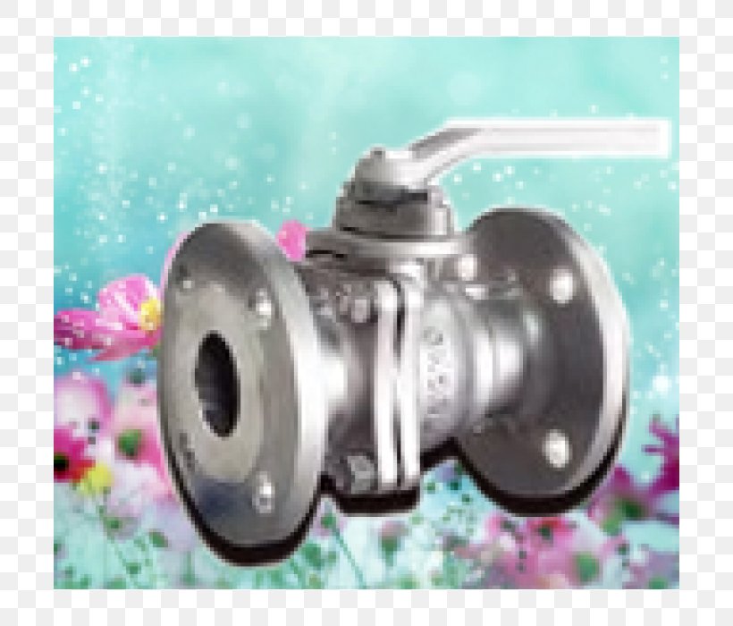 Công Ty TNHH Thương Mại Sản Xuất Dịch Vụ Đông Hải Ball Valve Stainless Steel Nenndruck, PNG, 700x700px, Ball Valve, Asme, Company, Flange, Hardware Download Free