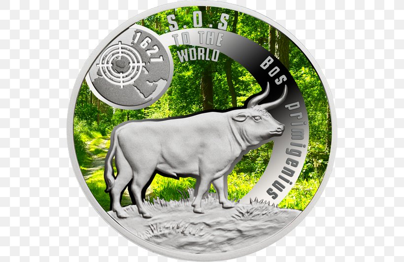 Dollar Coin Silver Fauna Cattle, PNG, 550x532px, Coin, Animal, Cattle, Cattle Like Mammal, Child Download Free