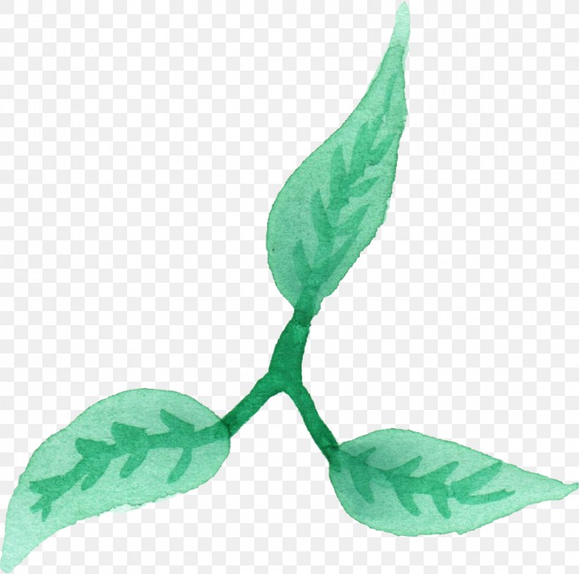 Leaf Watercolor Painting Plant Stem, PNG, 906x898px, Leaf, Auglis, Display Resolution, Kilobyte, Megabyte Download Free
