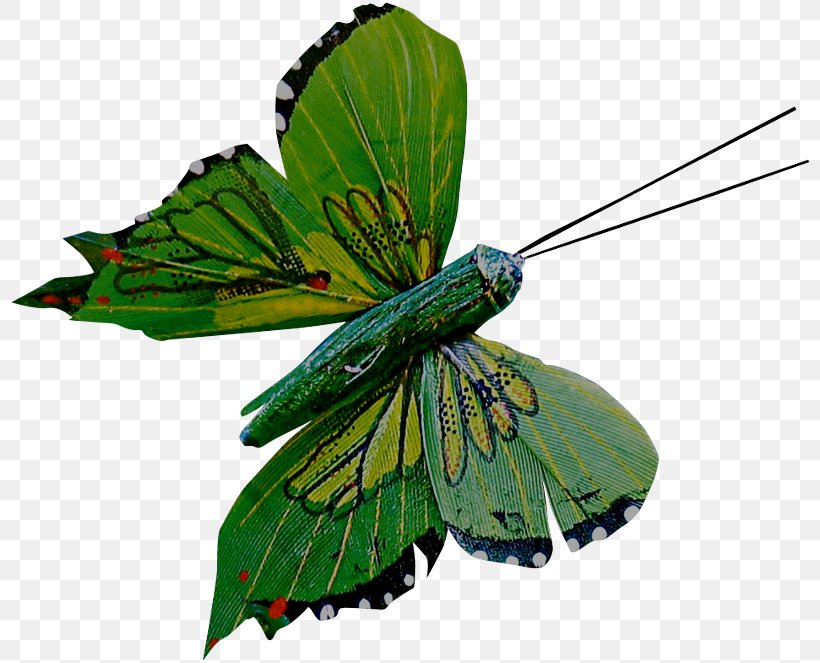 Monarch Butterfly Pieridae Gossamer-winged Butterflies Moth, PNG, 800x663px, Monarch Butterfly, Arthropod, Brush Footed Butterfly, Brushfooted Butterflies, Butterfly Download Free