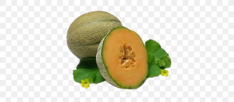 Cantaloupe Watermelon Honeydew Cucumber, PNG, 450x357px, Cantaloupe, Cucumber, Cucumber Gourd And Melon Family, Cucumis, Cucurbita Download Free