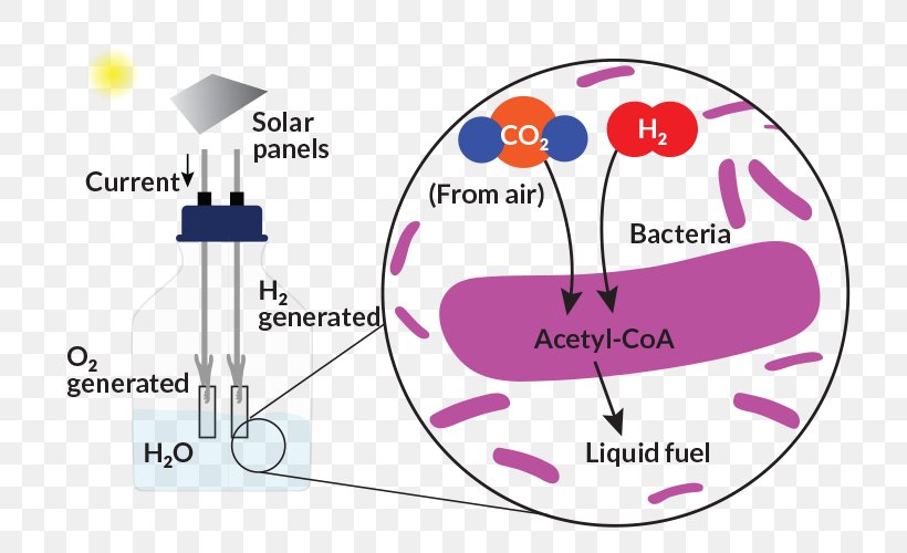 Chemistry Inorganic Compound Photosynthesis Matter Carbon Dioxide, PNG, 730x500px, Watercolor, Cartoon, Flower, Frame, Heart Download Free