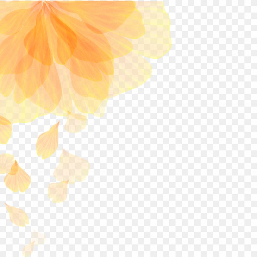 Euclidean Vector Flower Color Gradient, PNG, 1024x1024px, Flower, Color, Color Gradient, Image Resolution, Orange Download Free