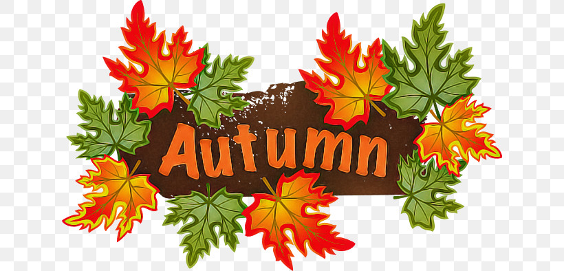 Leaf Autumn Season, PNG, 640x394px, Leaf, Autumn, Autumn Leaf Color, Maple, Maple Leaf M Download Free