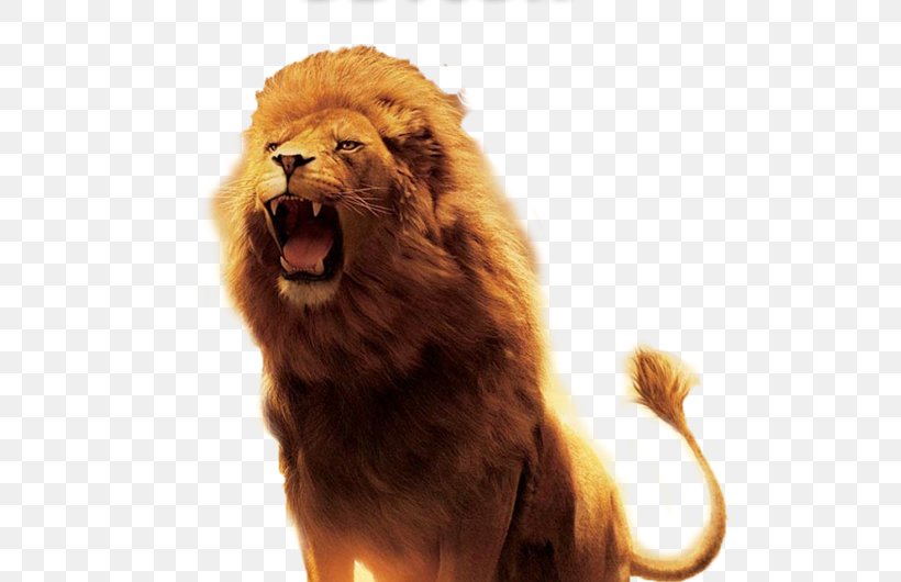 Lion Of Judah Hinduism Symbol Kingdom Of Judah, PNG, 530x530px, Lion Of Judah, Big Cats, Carnivoran, Cat Like Mammal, Christian Symbolism Download Free