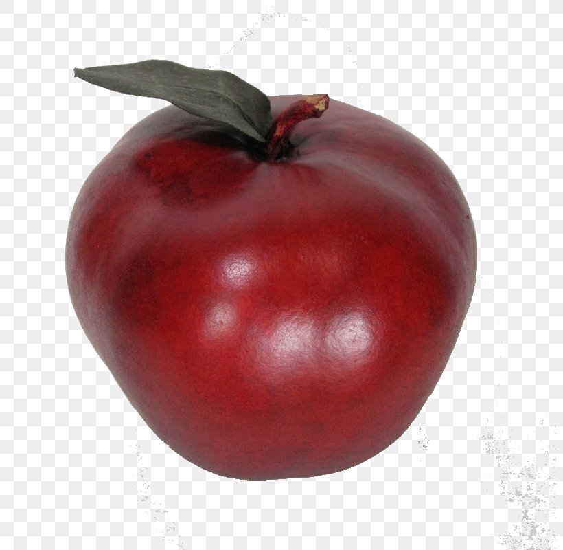 Bush Tomato Barbados Cherry Cranberry Accessory Fruit, PNG, 800x800px, Tomato, Accessory Fruit, Acerola, Acerola Family, Apple Download Free
