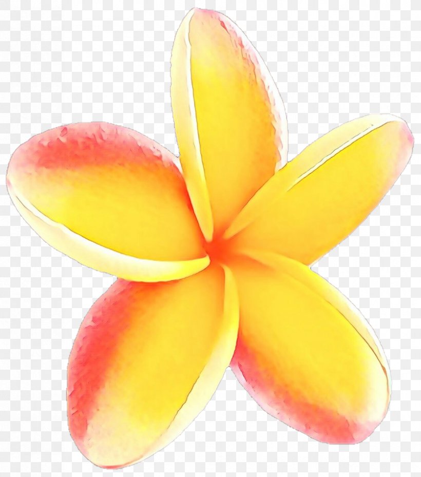 Frangipani Petal Flower Yellow Plant, PNG, 839x951px, Cartoon, Flower, Frangipani, Petal, Plant Download Free
