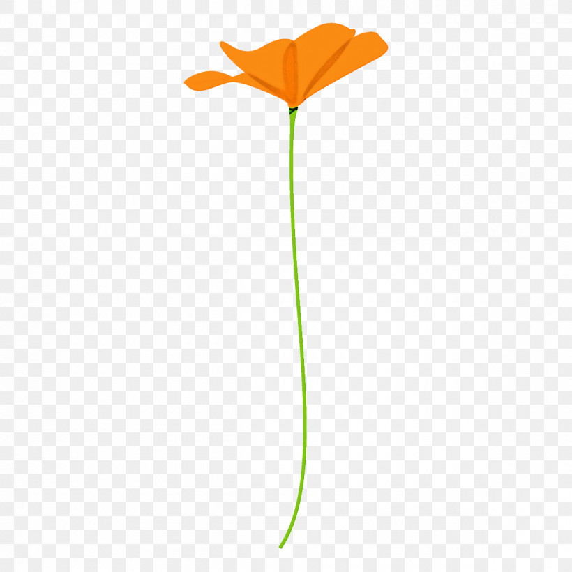 Poppy Flower, PNG, 1200x1200px, Poppy Flower, Flower, Leaf, Orange, Pedicel Download Free