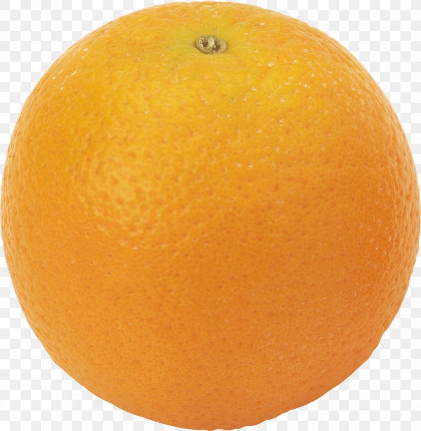 Tangerine Clementine Blood Orange Tangelo Grapefruit, PNG, 1677x1718px, Tangerine, Bitter Orange, Blood Orange, Citric Acid, Citron Download Free