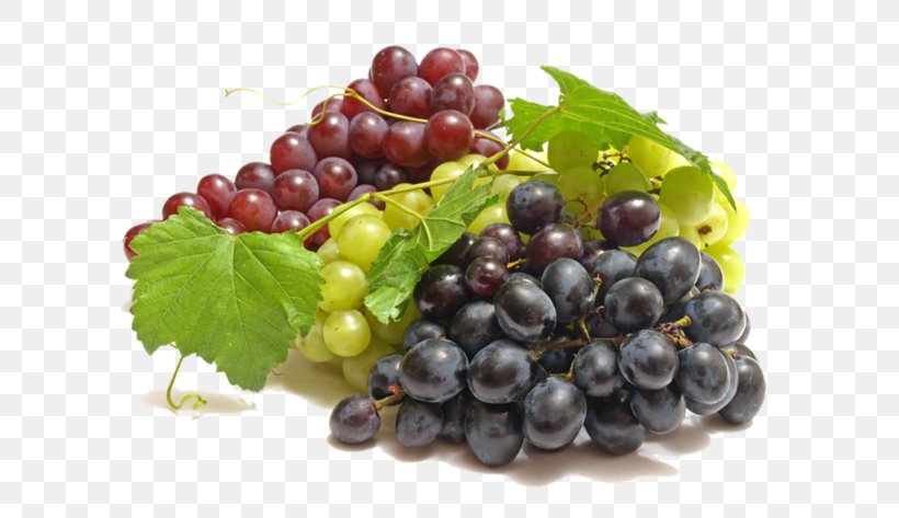 Wine Common Grape Vine Fruit, PNG, 600x473px, Wine, Auglis, Berry, Common Grape Vine, Currant Download Free