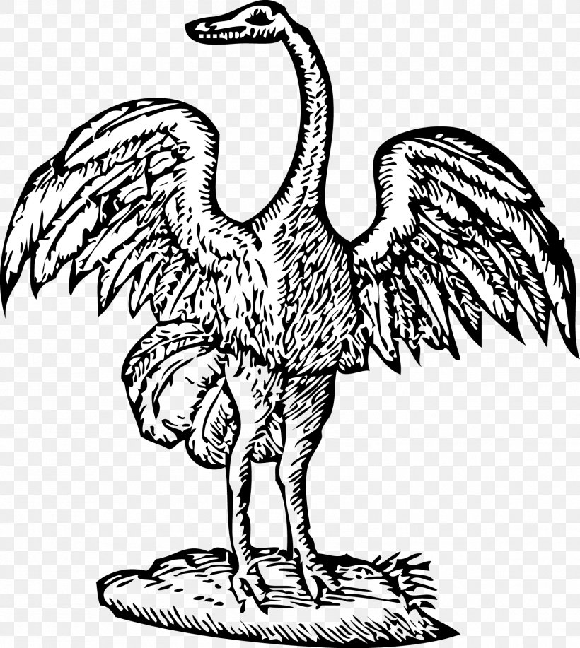 Bird Engraving Clip Art, PNG, 1576x1764px, Bird, Art, Beak, Black And White, Chicken Download Free