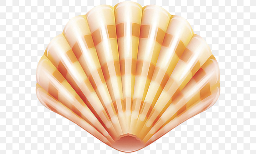 Shell Peach Beige Natural Material, PNG, 600x494px, Shell, Beige, Natural Material, Peach Download Free