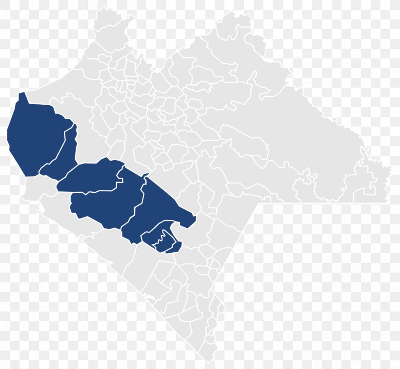 X Federal Electoral District Of Chiapas La Fraylesca Federal Electoral Districts Of Mexico Frailesca, PNG, 1200x1110px, Electoral District, Chiapas, Election, Encyclopedia, Map Download Free