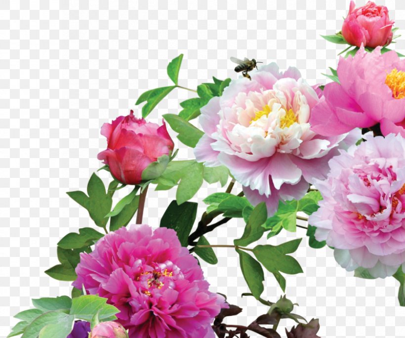 Clip Art, PNG, 839x700px, Flower, Annual Plant, Artificial Flower, Blume, Cut Flowers Download Free
