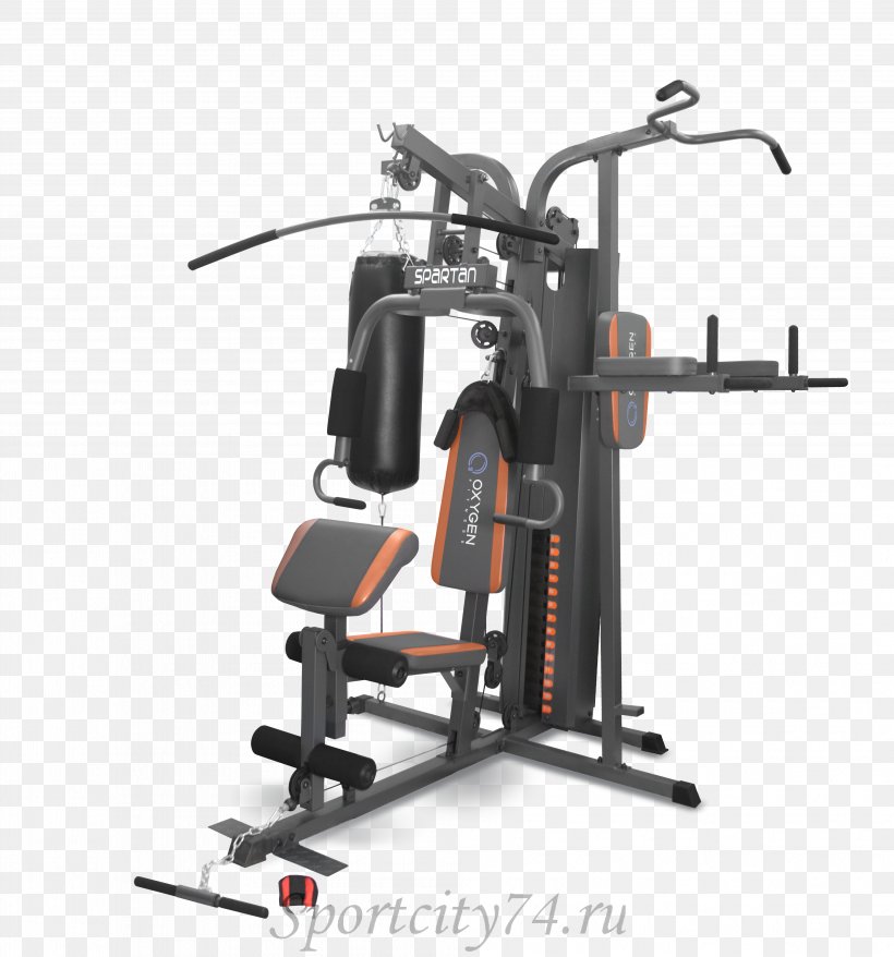 Exercise Machine Sunscreen Sun Tanning Physical Fitness Sport, PNG, 3969x4252px, Exercise Machine, Artikel, Automotive Exterior, Barbell, Clean And Press Download Free