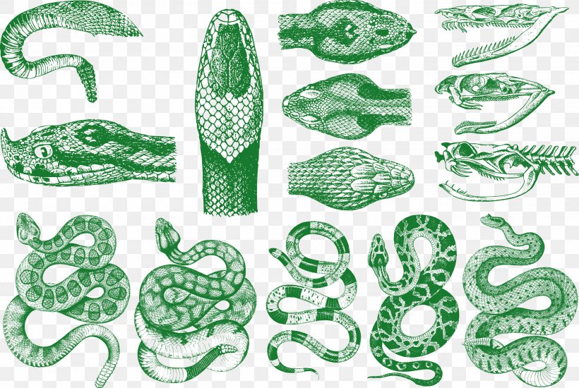 Snake Vipers Pattern, PNG, 2832x1902px, Snake, Baby Rattle, Cobra, Drawing, Green Download Free