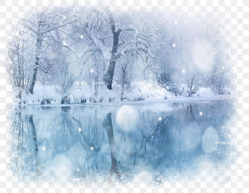 Snow Winter Desktop Wallpaper Image Photograph, PNG, 900x700px, Snow, Autumn, Blizzard, Branch, Daytime Download Free