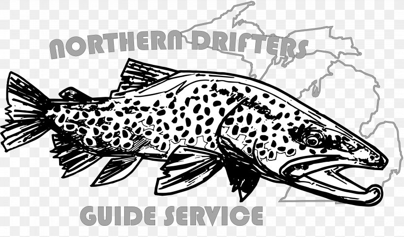 White River North Fork River Trout Au Sable River, PNG, 3171x1865px, White River, Arkansas, Artwork, Au Sable River, Black And White Download Free