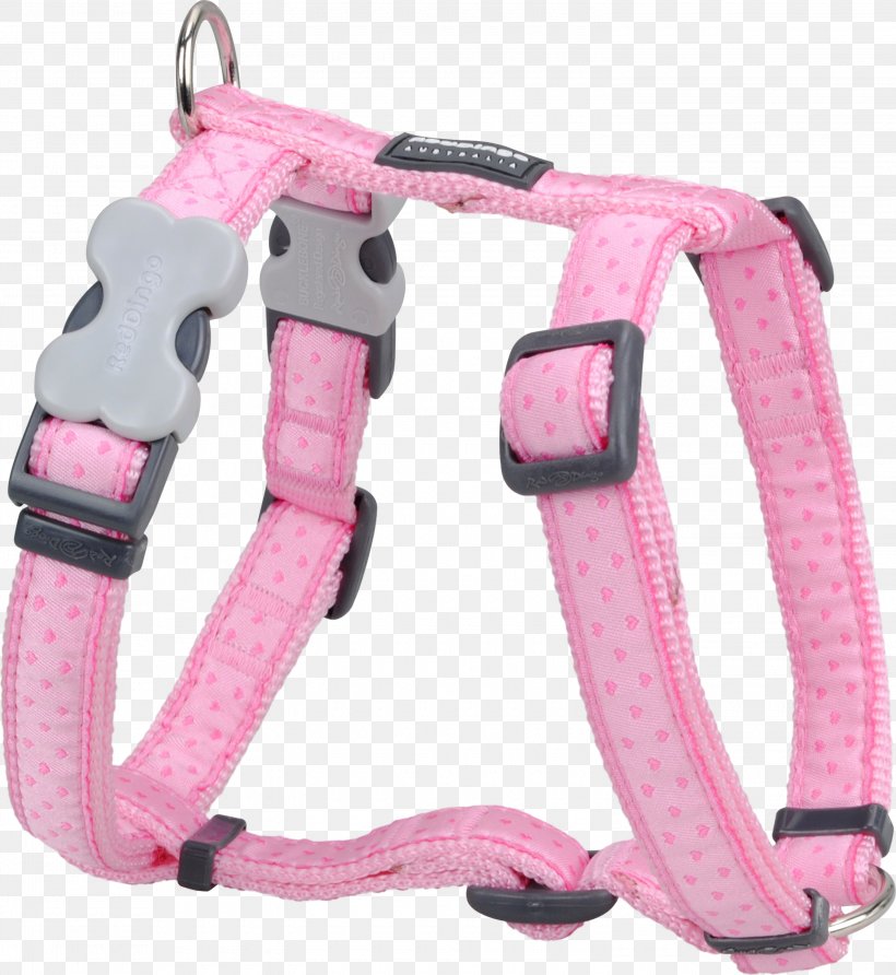 Dog Harness Dingo Horse Harnesses Dog Collar, PNG, 3000x3267px, Dog, Cart, Collar, Designerhunder, Dingo Download Free
